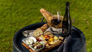 Dégustation de vins au domaine Dominium