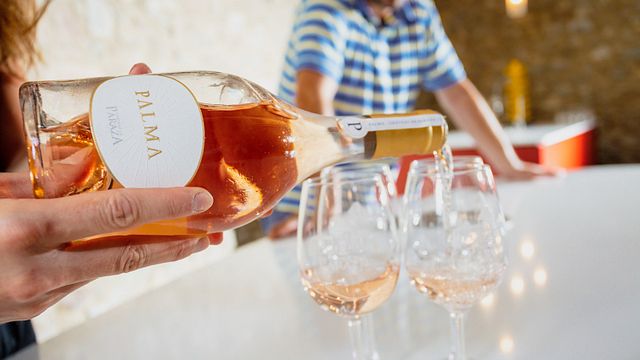 Prestige-Weinprobe mit handgemachtem Käse aus der Region und Wurstplatte | Château de Paraza