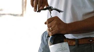 Degustazione e tour di vini premium a Casa Relvas