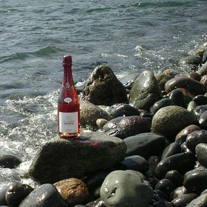Alojamiento Rural en Bodega y Finca Suriol