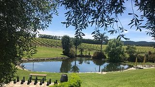 Degustação de vinhos na vinícola Westbrook, Nova Zelândia