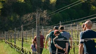 Visita a la granja y cata de vinos en Thomas Niedermayr - Hof Gandberg