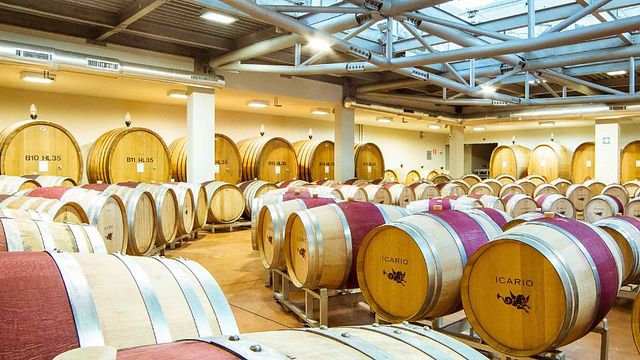 Dégustation de vins Platinum à la cave Icario