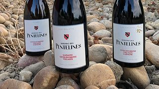 Vinprovning och vingårdstur på Domaine des Pentelines