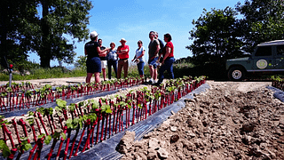 Weinsafari im Land Rover | Domaine Fontaine Du Clos
