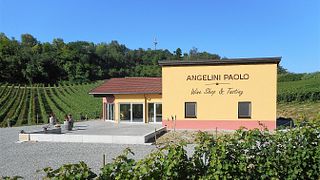 Weinprobe und Tour bei Angelini Paolo