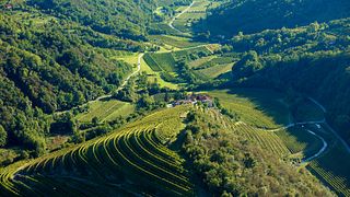 Dégustation de vins et visite de la cave Čarga