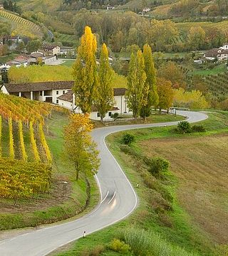 "Langhe del Barolo" Tour Privato in E-bike - Solo asfalto