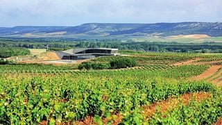 Cata de vinos en medio de los viñedos de la Milla de Oro en Ribera del Duero