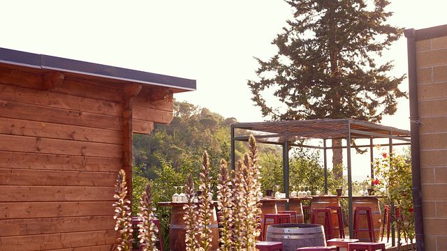 Wine tasting outdoor or in cellar depending on the climate. Chianti Classico, Super-Tuscan and Rosè experience