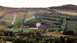 Unwind with a Botanical Walk at an Italian Winery