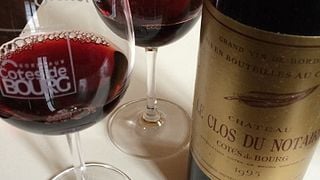Degustação de vinhos, harmonização de alimentos e passeio no Château Le Clos du Notaire