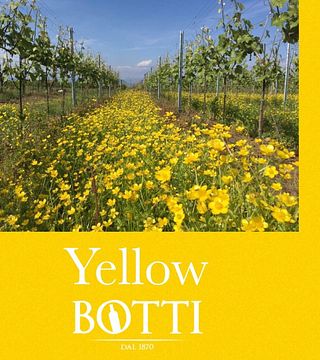 Degustação de vinhos e tour no AV Botti di Botti Enrico