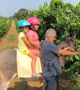 Degustação de vinhos e tour em La Casetta Azienda Agricola