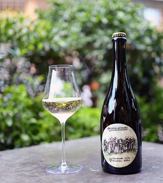 Degustação de vinhos premium na Didgori Winemaking