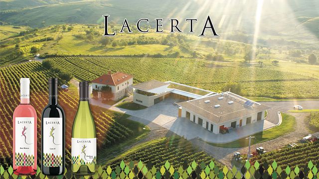 Första intryck: Vinkällartur och vinprovning på Lacerta Winery