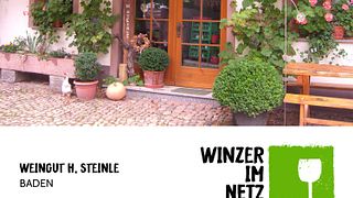 Cata de vinos en Weingut H.Steinle