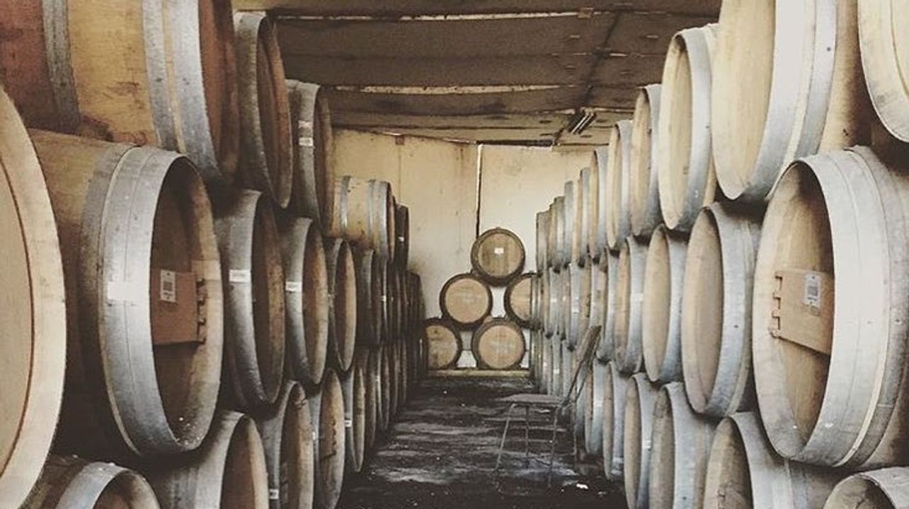 Dégustation de vins et visite des vignobles Galan