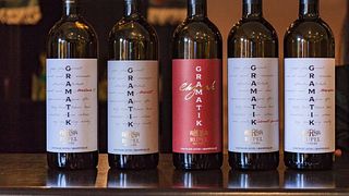 Degustazione di vini e tour in cantina presso l'azienda vinicola Rupel