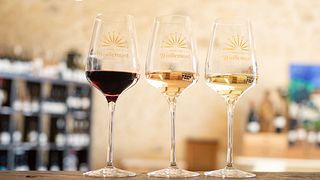 Degustazione Grand Cru