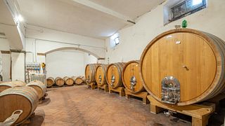 Tuscan Wine & Olive Tour at La Querce