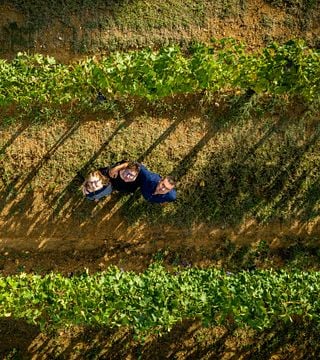 Tour de vinhos em Scopetone