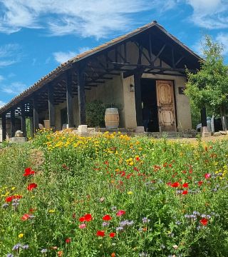 Degustazione tra i vigneti a Clos de Luz