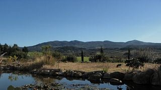 Visita e degustazione di vini a Terradicreta