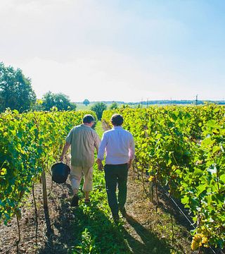 Cata de vinos en el Château du Petit Thouars