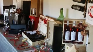 Calabria’s Colacino: Vineyard Tour & Wine Tasting