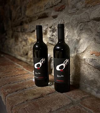 Visita de la Bodega y Cata de Vinos