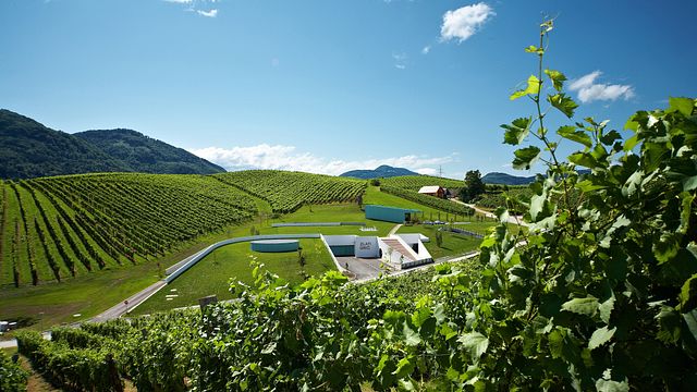 Experience & Explore the Zlati Grič Estate