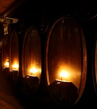 Degustação de vinhos e tour no Ökologisches Weingut Hubert Ly