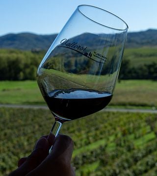 Our selection of wines