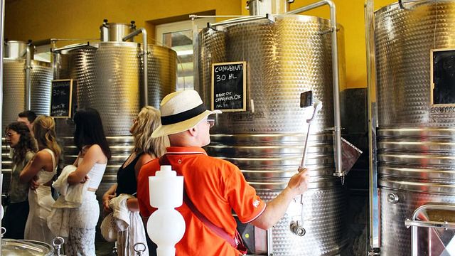 Le Origini- visita delle cantine, degustazione di 4 vini e salumi locali