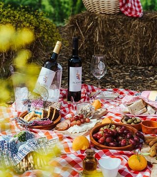 Pique-nique avec du vin à Quinta Da Plansel