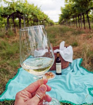 Pic Nic dans le vignoble | Lodi Corazza