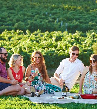 Degustação de vinhos e passeio em Upper Reach