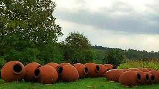 Winery Zodi: Exceptional Wines from Imereti