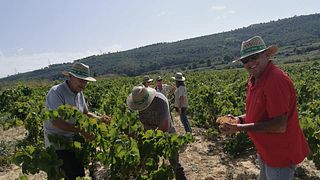 Visita Premium a la bodega Cuscó Berga