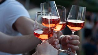 Mosel Vineyard Hike & Wine Tasting at Margarethenhof