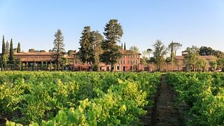 Château Saint Roux