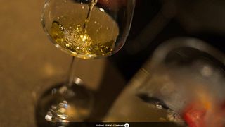 Marche Wine & Cellar Journey at Cantina Bastianelli
