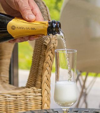 Degustação de vinhos espumantes com harmonização gastronômica
