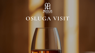 Underground Wine Magic: Castilla y León Tasting at Bodega Muelas