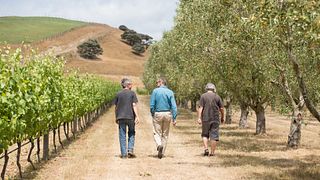 The Elder Pinot