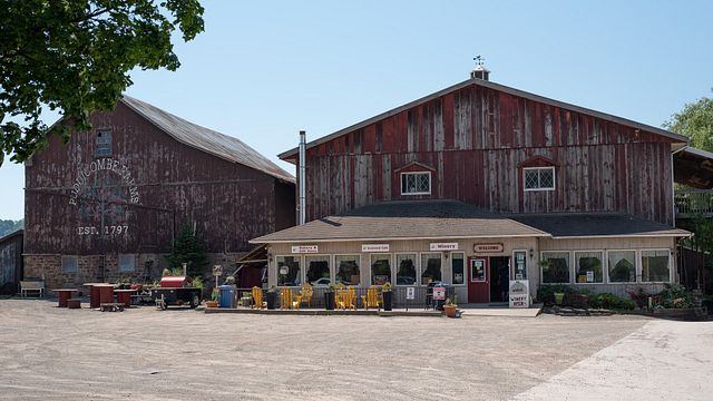 Ontario Vineyard Pairings & Train Tour at Puddicombe