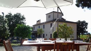 Cata básica de 4 vinos con visita a Chianti en la bodega Terre Di Perseto