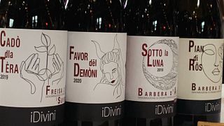 As muitas faces de Barbera: degustação e tour pela vinícola