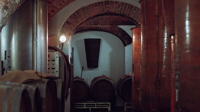 Piedmont Wine & Vineyard UNESCO Tour